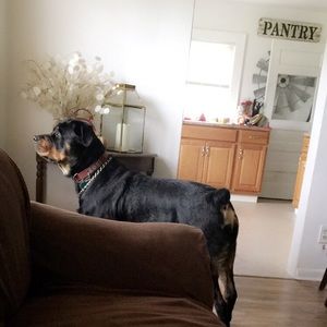 Meet your Posher, Elizabeth